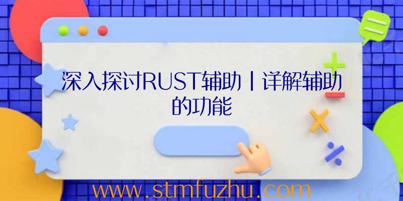 深入探讨RUST辅助|详解辅助的功能